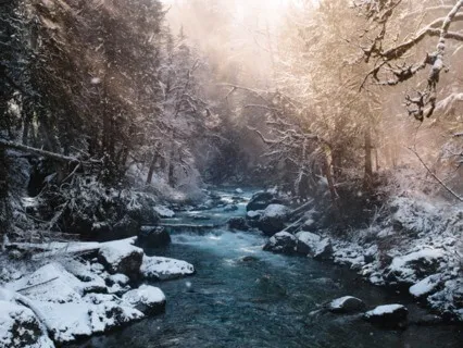 Winter Streams With Birds