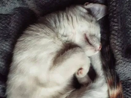 Winter Wind Down Meditation