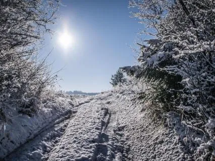 Winter Wonderland To Explore Joy And Gratitude