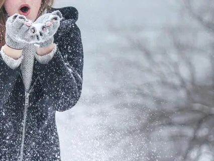 Winter Wonderland Visualization