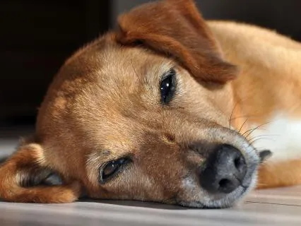 Wired And Tired: A Pre-Sleep Bedtime Reset