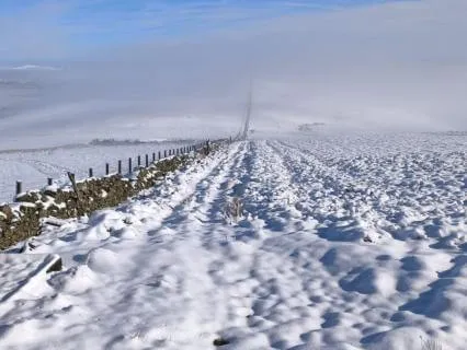 Wired But Exhausted? | Muscle Release & Nervous System Reset