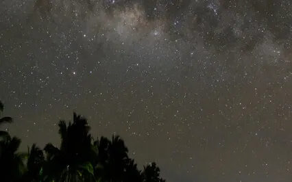 Wisdom 528Hz - Healing Music