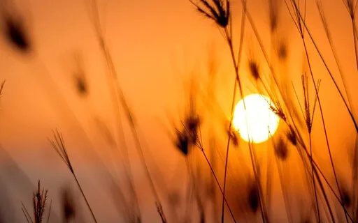 Wisdom And Compassion - 432hz