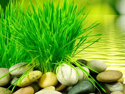 Reach Inward For Wisdom & Perspective - Connect With You