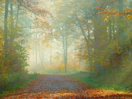 Wisdom Beyond Exhaustion Meditation