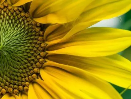 Wisdom Bits: Controlling Our Thoughts With Positive Thinking