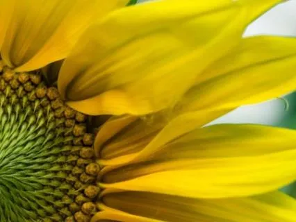 Wisdom Bits: Controlling The Spiral - Talk And Affirmations