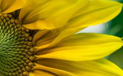 Wisdom Bits Talk:  9 Ways To Cope With Or Overcome Fear 