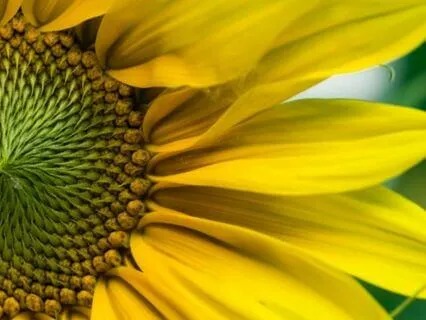 Wisdom Bits Talk: Breaking Free Of Our Critical Inner Voices