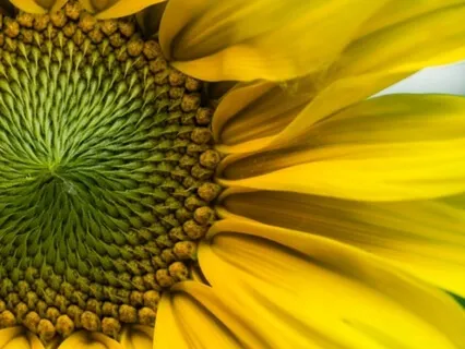 Wisdom Bits Talk: Burnt Toast – A Story About Compassion