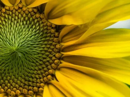 Wisdom Bits Talk: Complaining Is Draining - How To Move From Complaints To Gratitude