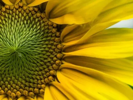 Wisdom Bits Talk: Coping With Loneliness – 6 Tips Towards Better Health That Might Work For You!