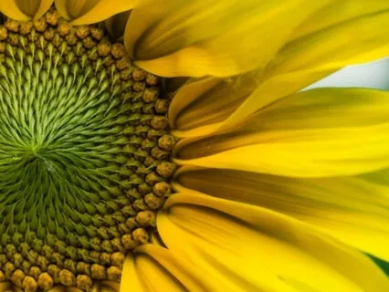 Wisdom Bits Talk: Creating Money (A Short Reading)