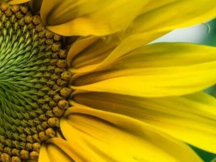 Wisdom Bits Talk: Go Easy