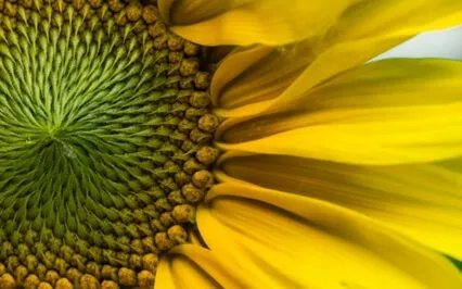 Wisdom Bits Talk: How To Get Your Self-Belief Back If Lost