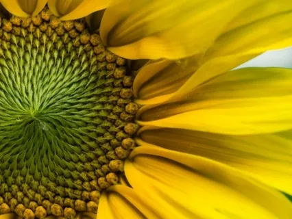 Wisdom Bits Talk: How To Live And Love Our Lives