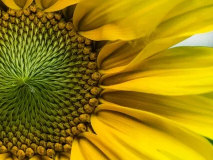 Wisdom Bits Talk: Positive Affirmations - Do They Really Work?