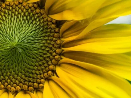 Wisdom Bits Talk: Self Love Equals Peace Of Mind-Love Yourself So You Can Love Others