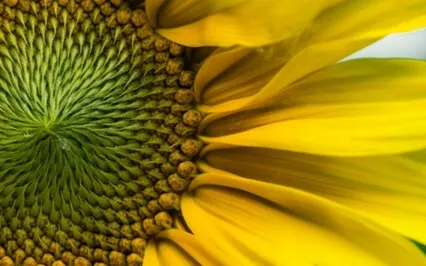 Wisdom Bits Talk: The 12 Universal Laws – Part 1: Laws 1 To 3