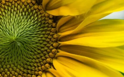 Wisdom Bits Talk: The 12 Universal Laws – Part 2: Laws 4 To 6