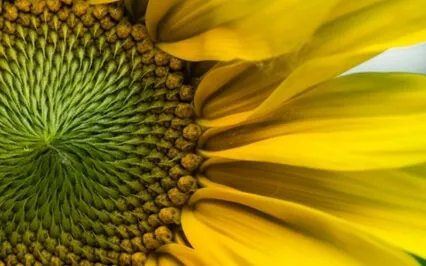 Wisdom Bits Talk: The 12 Universal Laws – Part 3:Laws 7 To 9