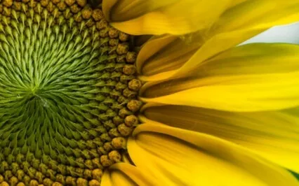 Wisdom Bits Talk: The 12 Universal Laws – Part 4: Laws 10 To 12