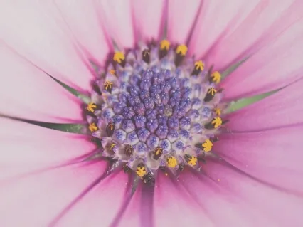 Wisdom Breathing - Morning Mindfulness