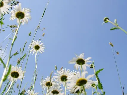 Wisdom From Your Future Self