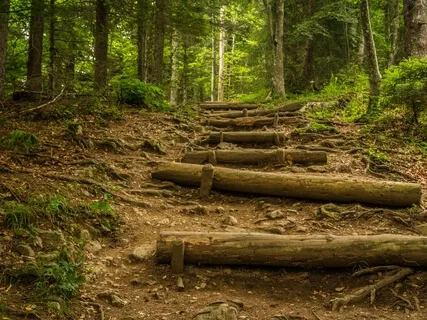 Wisdom Of Joseph Campbell: Guided Visualization