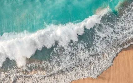 Wisdom Of Nature: Water And Allowing What Is