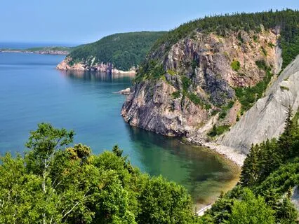 Wisdom Of Shaltazar Oracle - 18 | Connect To Your Feelings