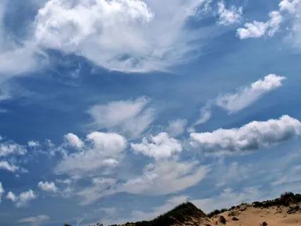 Wisdom Of Shaltazar Oracle 19 | Shine Light On Your Darkness