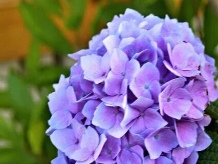 Wisdom Of Shaltazar Oracle - 20 | Time For Change