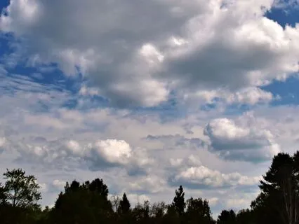 Wisdom Of Shaltazar Oracle - 21 | Let Go Of Pushing