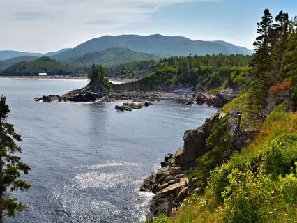 Wisdom Of Shaltazar Oracle - 43 | Embrace The Adventure