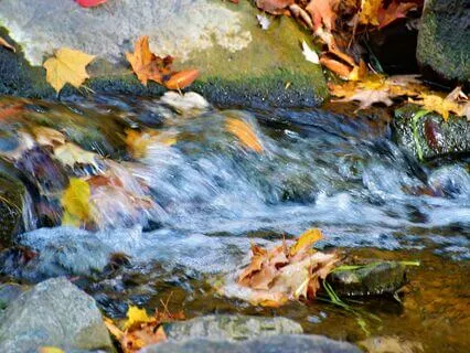 Wisdom Of Shaltazar: Oracle Card 1 | Love Thyself