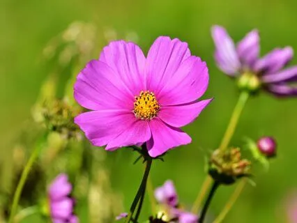 Wisdom Of Shaltazar: Oracle Card 11 | I Don’t Know