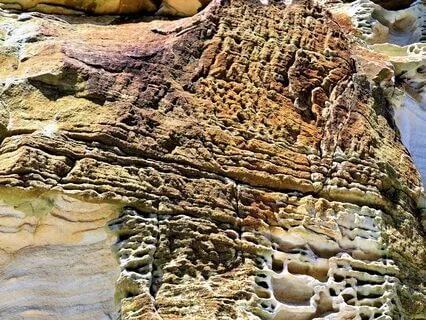 Wisdom Of Shaltazar: Oracle Card 12 | Freedom