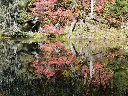 Wisdom Of Shaltazar: Oracle Card 12 | The Mirror