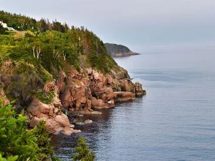 Wisdom Of Shaltazar: Oracle Card 13 | Creating Space