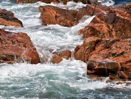 Wisdom Of Shaltazar: Oracle Card 15 | The Flow Of Life