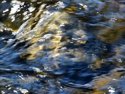 Wisdom Of Shaltazar: Oracle Card 17 | Let Go Of Regrets