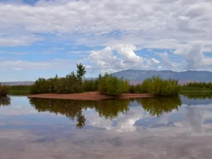 Wisdom Of Shaltazar: Oracle Card 23 | Stillness