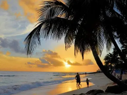 Wisdom Of Shaltazar: Oracle Card 26 | Receiving