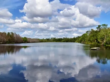 Wisdom Of Shaltazar Oracle Card # 28 | When Flow Stops