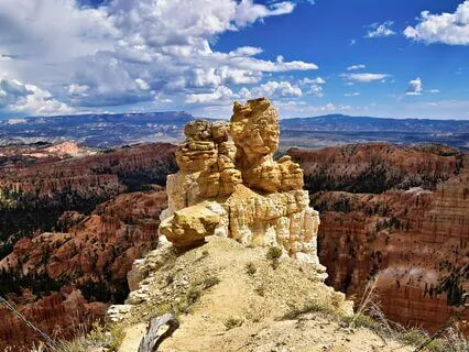 Wisdom Of Shaltazar: Oracle Card 32 | Raise Your Vibrations