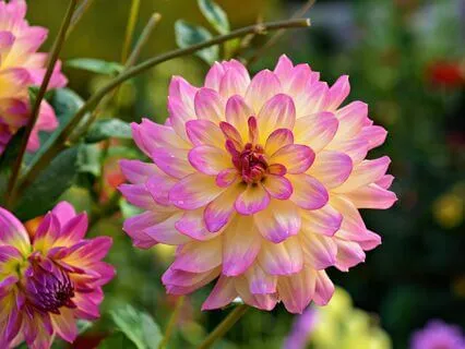 Wisdom Of Shaltazar: Oracle Card 34 | Give To Yourself