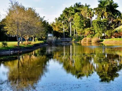 Wisdom Of Shaltazar Oracle Card #4  - Faith Conquers Fear