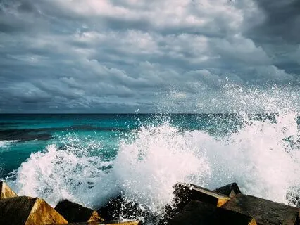 Wisdom Of Shaltazar Oracle Card - 47 | Focus Inward